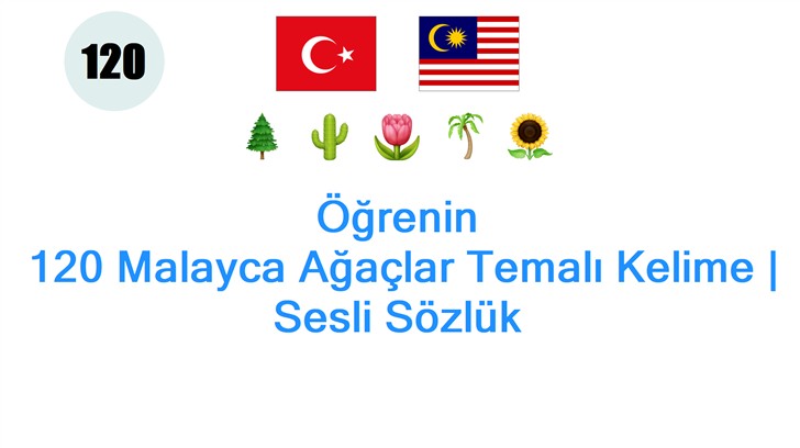 Öğrenin: 120 Malayca Ağaçlar Temalı Kelime | Sesli Sözlük